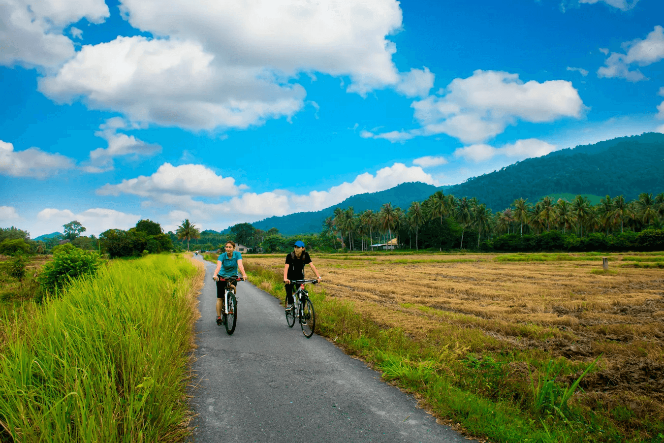 Cycling in Countryside Tour